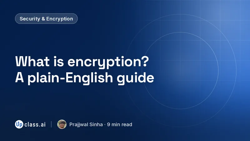 What is encryption? A plain-English guide